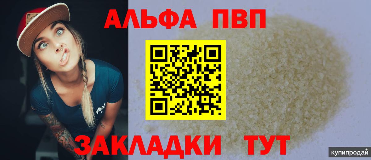 A PVP СК КРИС Светлоград