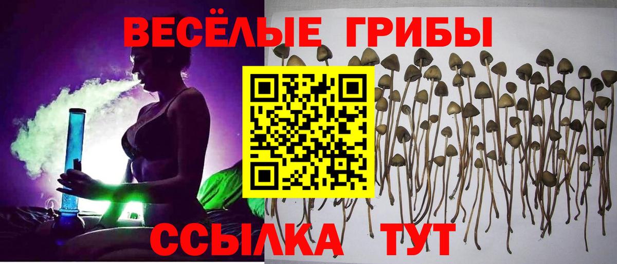 Псилоцибиновые грибы прущие грибы  Вход с VPN  Светлоград  Галлюциногенные грибы прущие грибы 